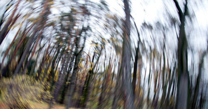 Vestibular Rehabilitation